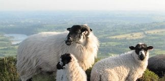 Leek – miasto z duszą na obrzeżach parku narodowego Peak District.